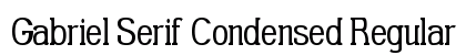 Gabriel Serif Condensed Regular preview