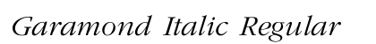 Garamond Italic Regular preview