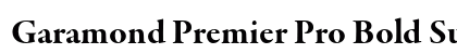Garamond Premier Pro Bold Subhead Preview