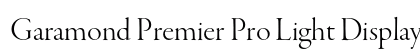 Garamond Premier Pro Light Display Preview