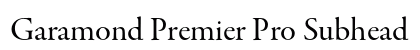 Garamond Premier Pro Subhead Preview