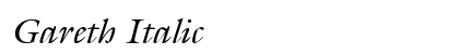 Gareth Italic preview