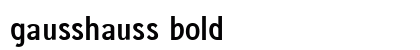 gausshauss bold preview