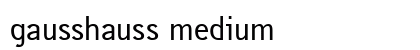 gausshauss medium preview