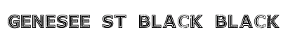 Genesee St Black Black preview