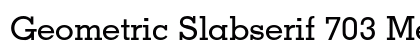 Geometric Slabserif 703 Medium Preview
