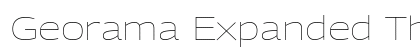 Georama Expanded Thin Regular Preview