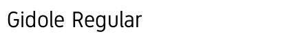 Gidole Regular preview