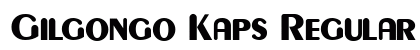 Gilgongo Kaps Regular preview
