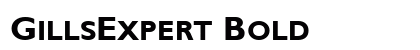 GillsExpert Bold preview
