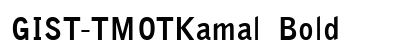 GIST-TMOTKamal Bold preview