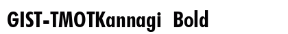 GIST-TMOTKannagi Bold preview