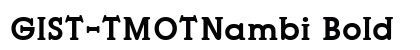 GIST-TMOTNambi Bold preview