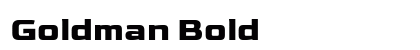 Goldman Bold preview