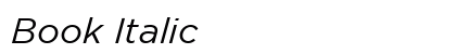 Book Italic preview