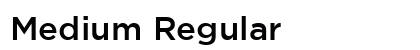Medium Regular Preview