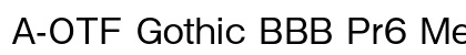 A-OTF Gothic BBB Pr6 Medium preview