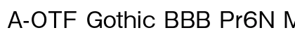 A-OTF Gothic BBB Pr6N Medium preview