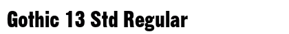 Gothic 13 Std Regular preview