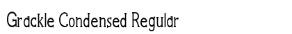 Grackle Condensed Regular Preview