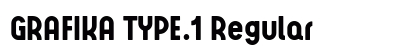 GRAFIKA TYPE.1 Regular preview