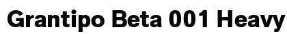 Grantipo Beta 001 Heavy preview