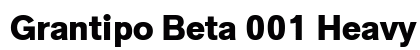 Grantipo Beta 001 Heavy preview