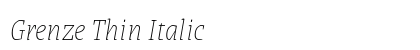 Grenze Thin Italic Preview