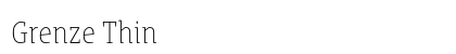 Grenze Thin Preview