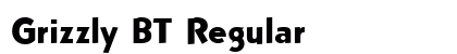 Grizzly BT Regular preview
