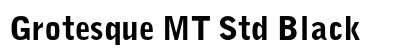 Grotesque MT Std Black preview