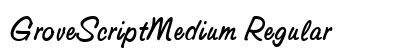GroveScriptMedium Regular preview