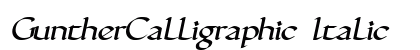 GuntherCalligraphic Italic Preview