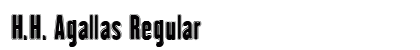 H.H. Agallas Regular preview