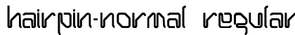 Hairpin-Normal Regular preview
