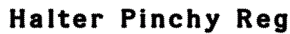 Halter Pinchy Regular preview