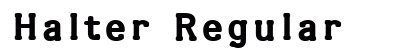 Halter Regular preview