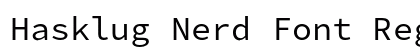 Hasklug Nerd Font Regular Preview