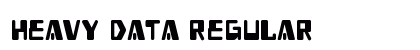 Heavy Data Regular preview