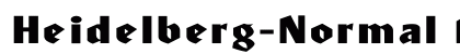 Heidelberg-Normal Ex Regular preview