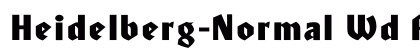 Heidelberg-Normal Wd Regular preview