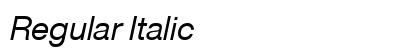 Regular Italic preview