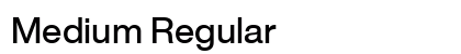 Medium Regular Preview