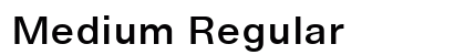 Medium Regular Preview