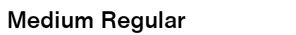 Medium Regular Preview