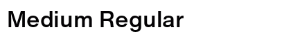 Medium Regular Preview