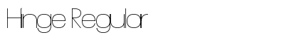 Hinge Regular preview