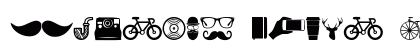 Hipster Icons Regular preview