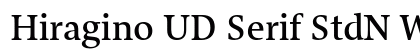 Hiragino UD Serif StdN W6 preview