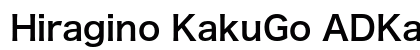 Hiragino KakuGo ADKana Std W6 preview